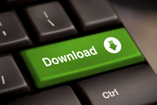 Download Torrents